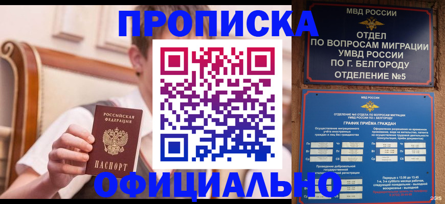 временная регистрация собственник в Благовещенске